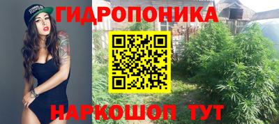 гашиш Кандалакша