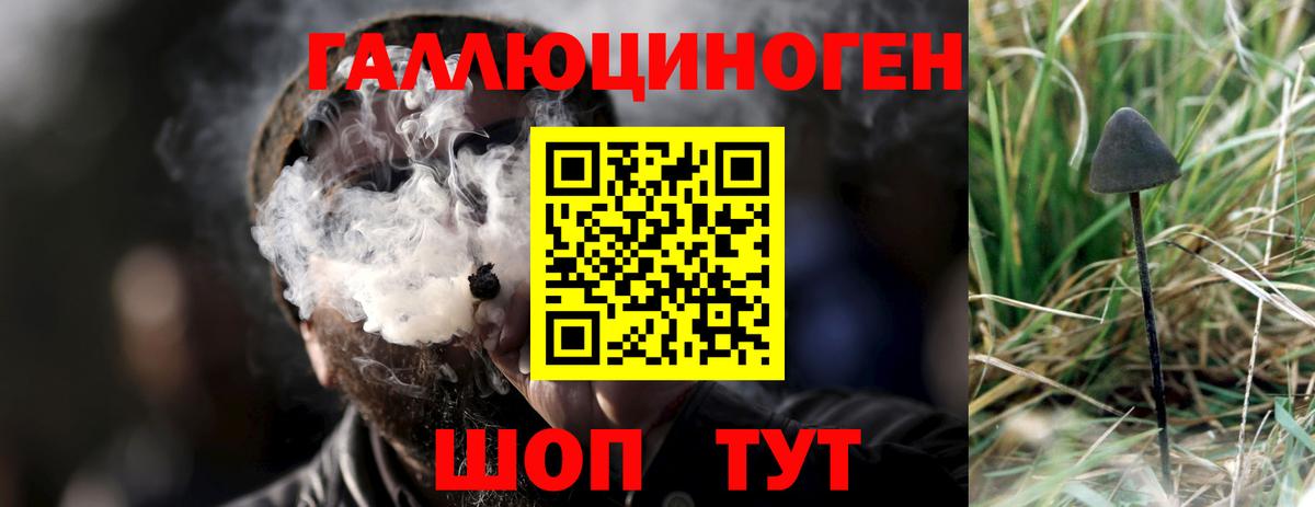 Псилоцибиновые грибы Cubensis  Вход с VPN  Галлюциногенные грибы Magic Shrooms  Уссурийск 